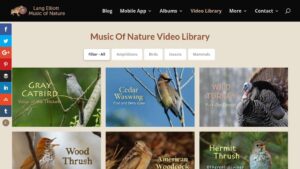 resource URL thumbnail