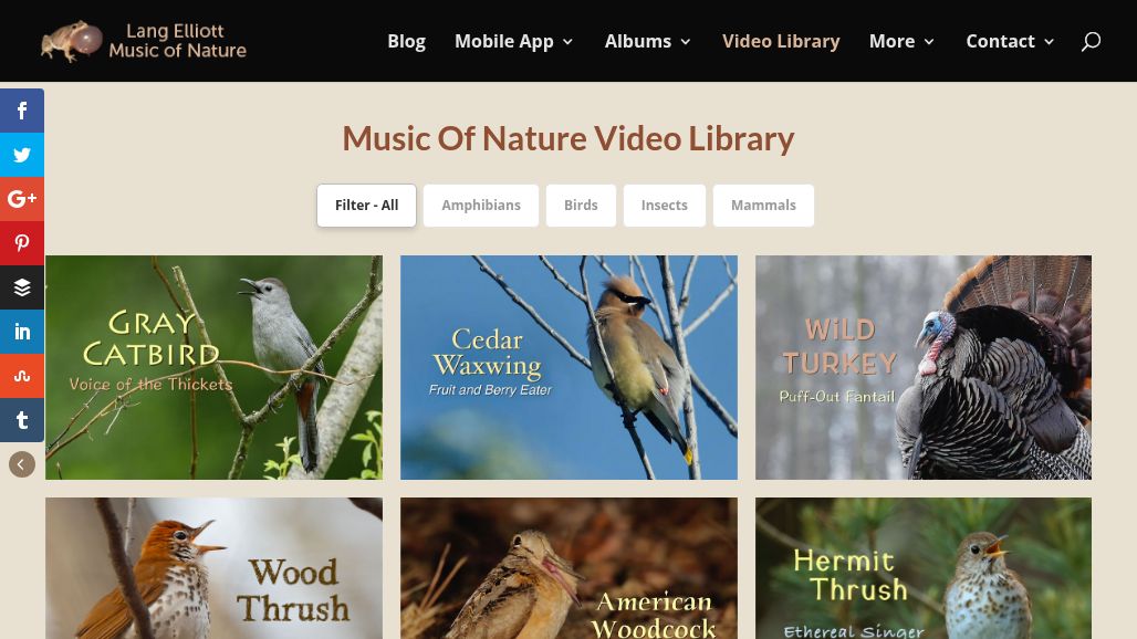 resource URL thumbnail