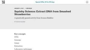 resource URL thumbnail