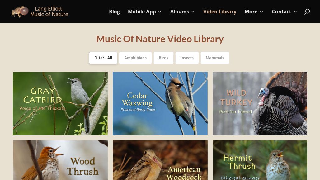 resource URL thumbnail