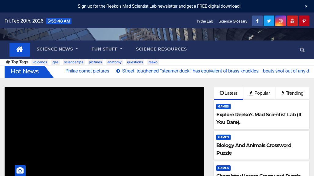 resource URL thumbnail