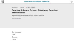resource URL thumbnail