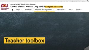 resource URL thumbnail