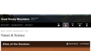 resource URL thumbnail