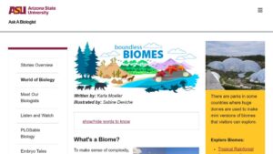 resource URL thumbnail