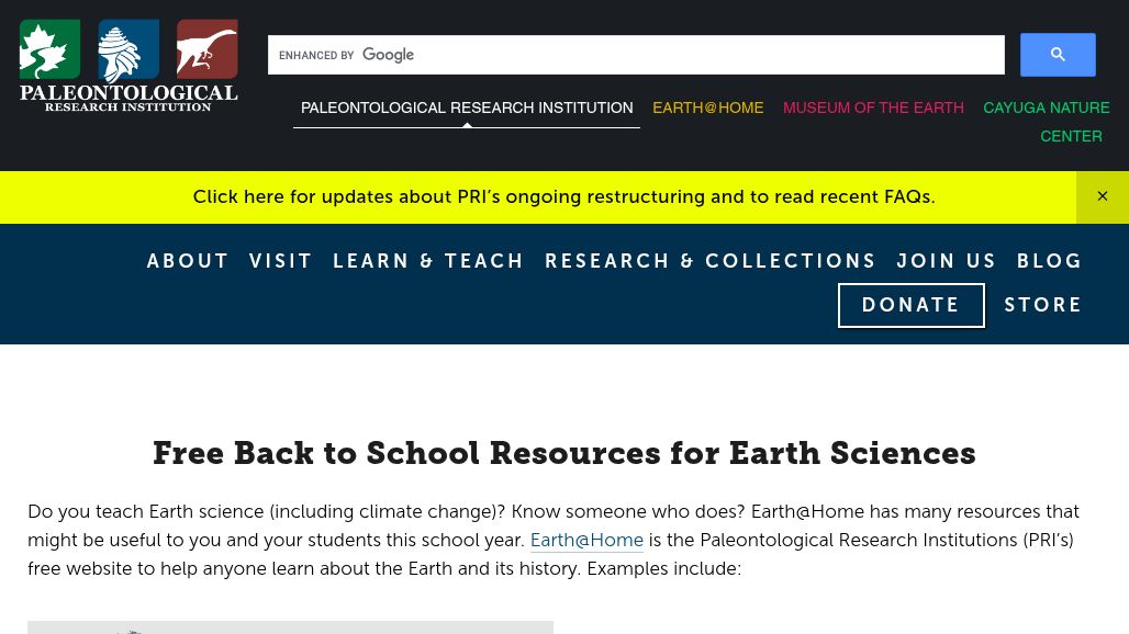 resource URL thumbnail