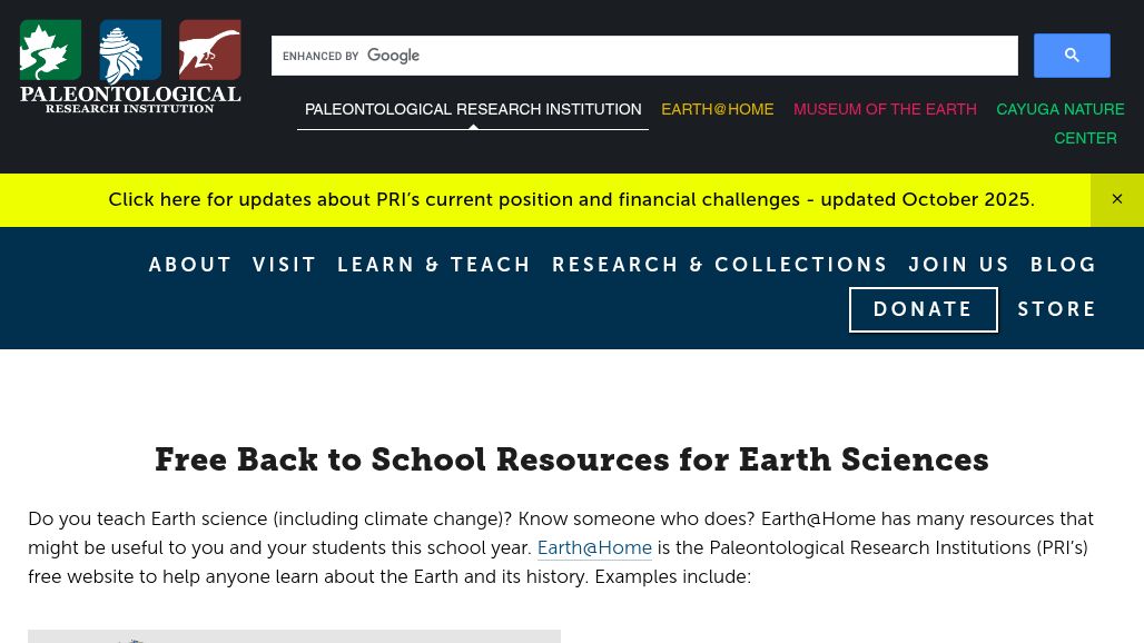 resource URL thumbnail