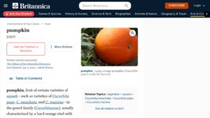 resource URL thumbnail