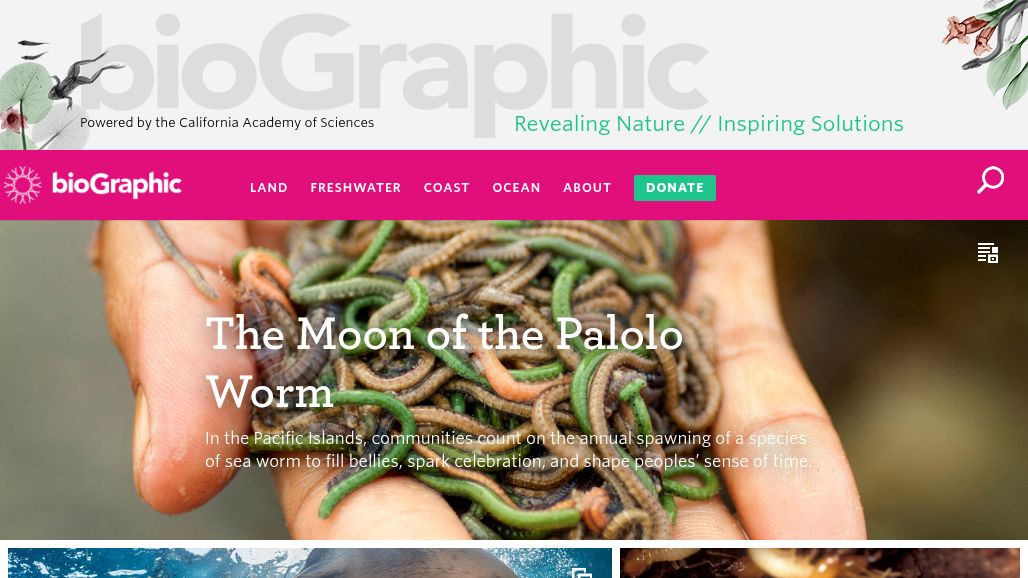 resource URL thumbnail