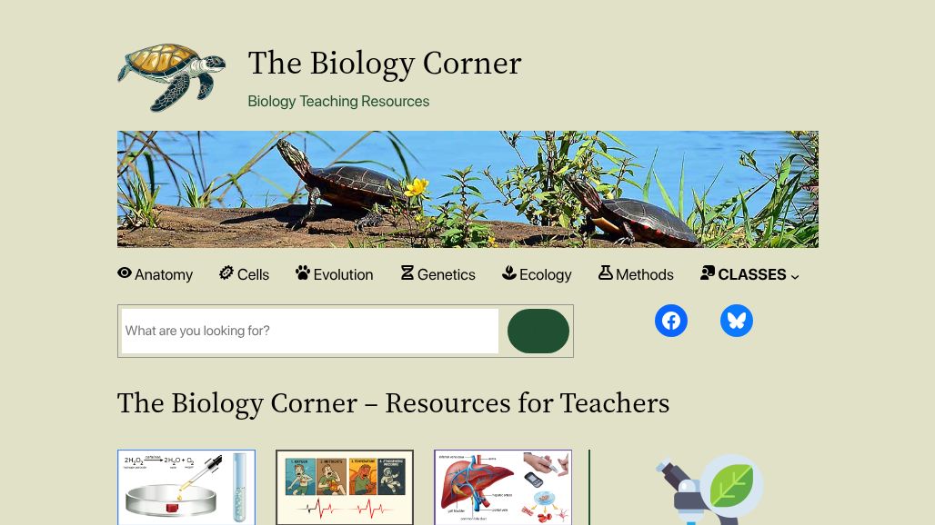 resource URL thumbnail
