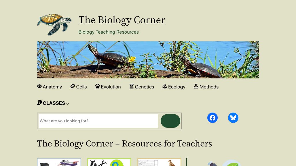 resource URL thumbnail