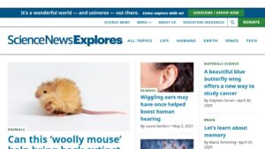 resource URL thumbnail