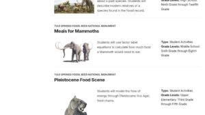 resource URL thumbnail