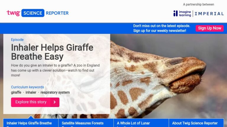 resource URL thumbnail