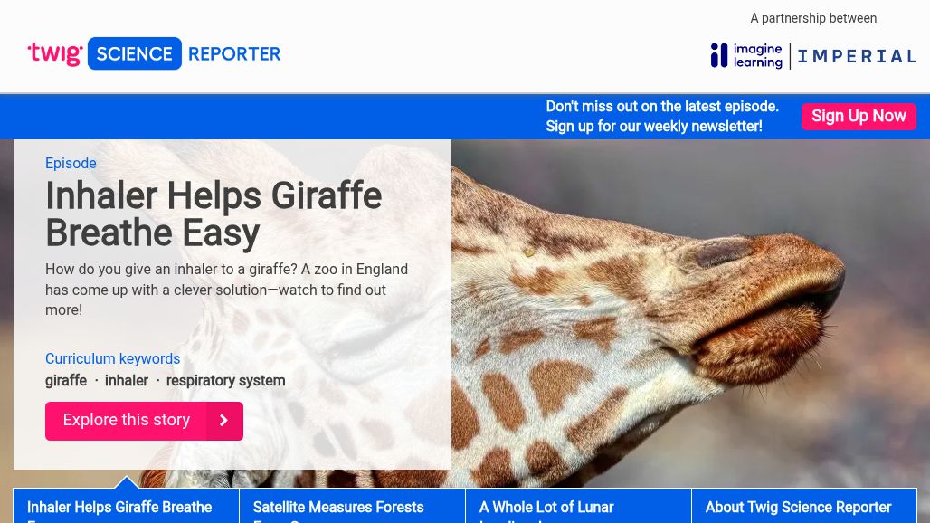 resource URL thumbnail