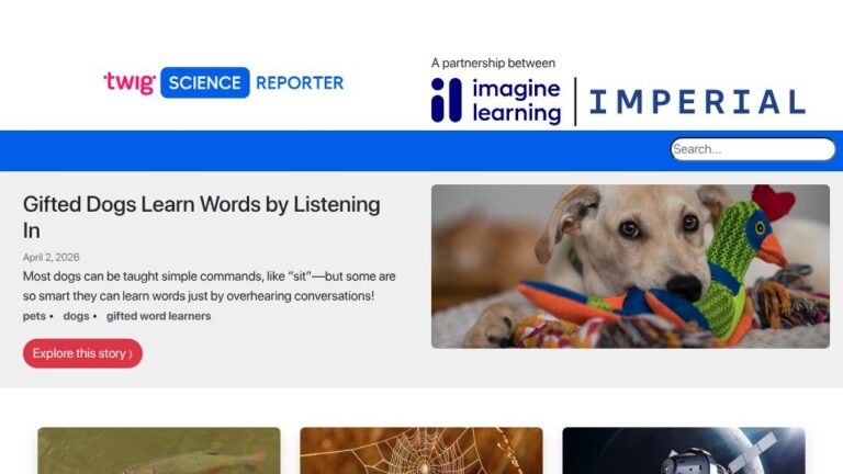 resource URL thumbnail