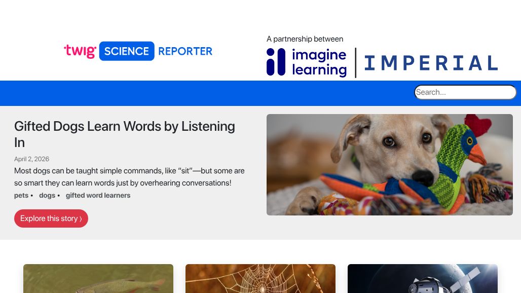 resource URL thumbnail