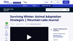 resource URL thumbnail