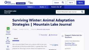 resource URL thumbnail