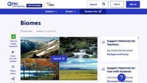 resource URL thumbnail