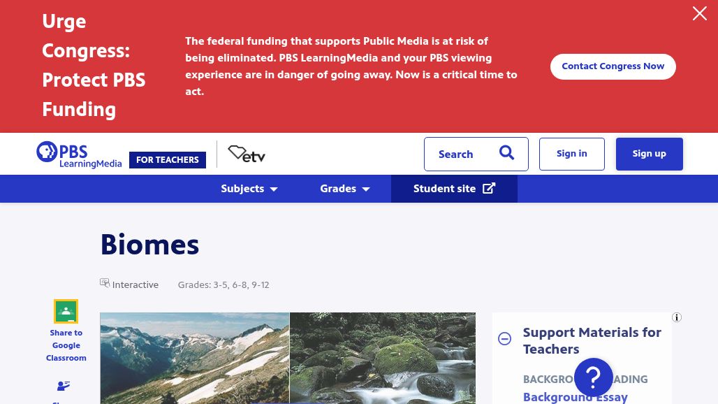 resource URL thumbnail