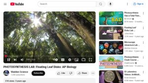 resource URL thumbnail