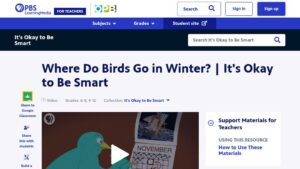 resource URL thumbnail