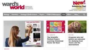 resource URL thumbnail
