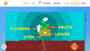 resource URL thumbnail