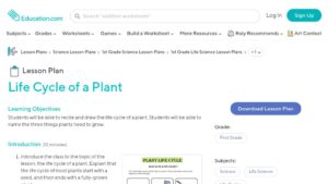 resource URL thumbnail