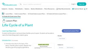 resource URL thumbnail
