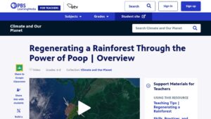 resource URL thumbnail