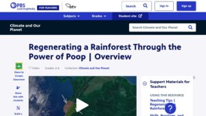 resource URL thumbnail