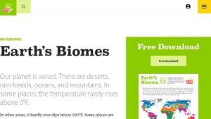 resource URL thumbnail