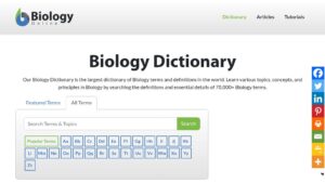 resource URL thumbnail